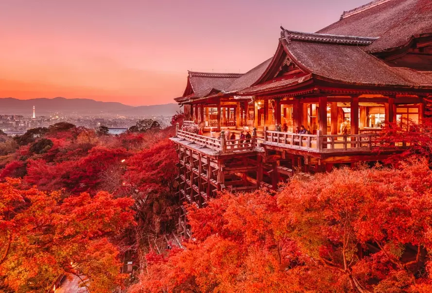 when to visit Japan
