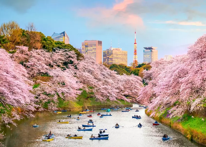 Japan travel seasons