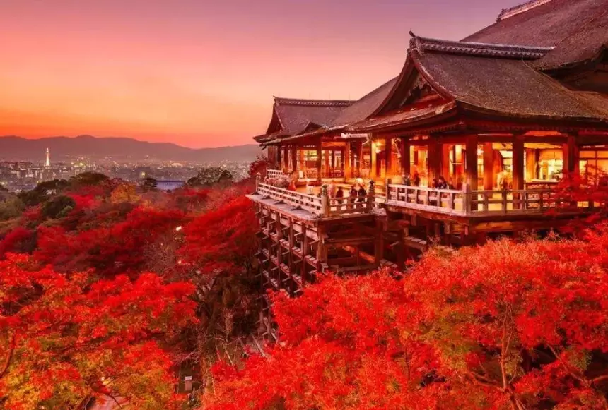 Tokyo travel guide Tokyo travel guide