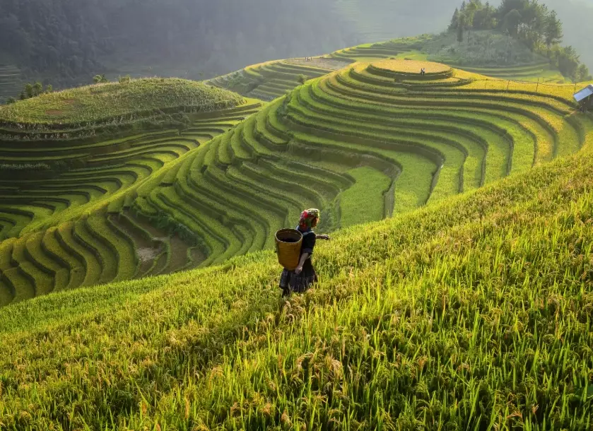 sustainable travel Japan