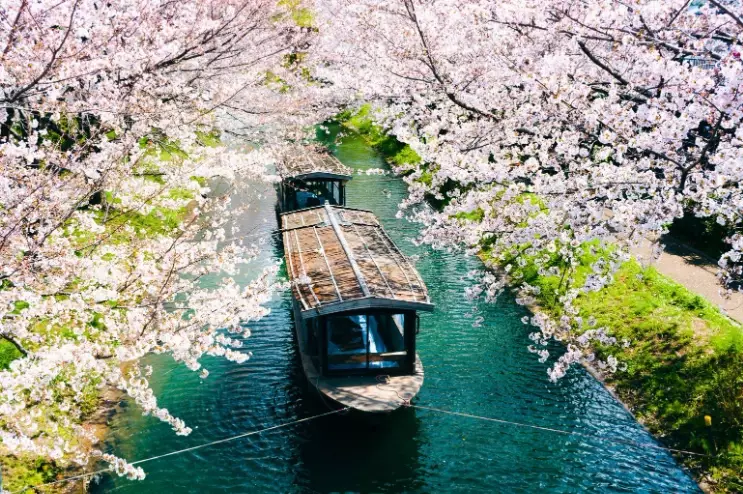 best time to visit Japan on a budget