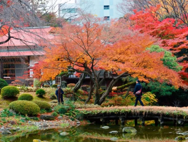 Japan seasonal calendar Japan seasonal calendar