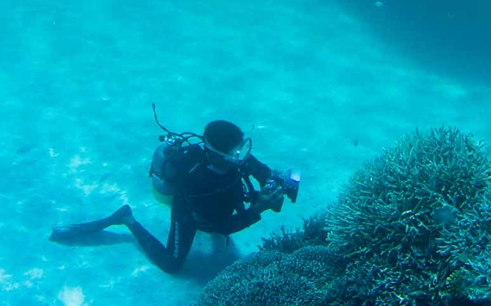 best dive sites Japan best dive sites Japan