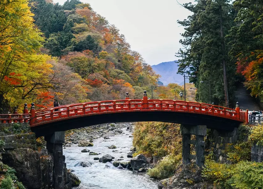 things to do in Tokyo things to do in Tokyo