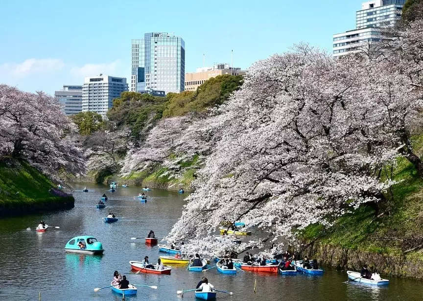 Tokyo 7 day itinerary Tokyo 7 day itinerary