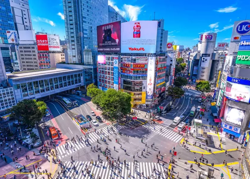 Tokyo travel guide Tokyo travel guide