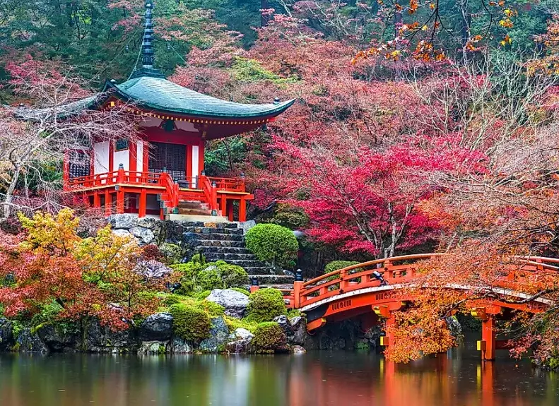 Kyoto sightseeing Kyoto sightseeing