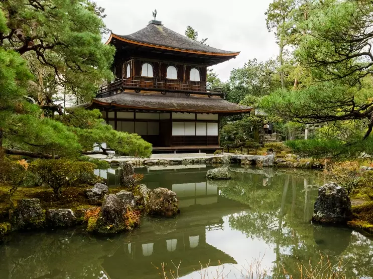 Kyoto sightseeing Kyoto sightseeing