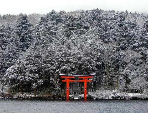 things to do in Tokyo in winter things to do in Tokyo in winter