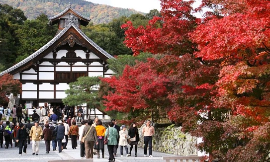 kyoto temples guide