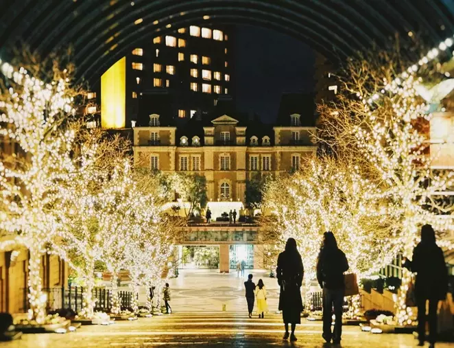 Tokyo winter attractions Tokyo winter attractions