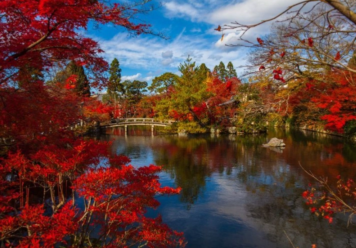 Japan travel seasons