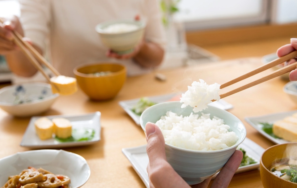 Japanese manners guide