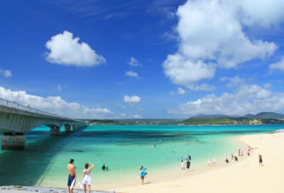 Okinawa swimming hazards