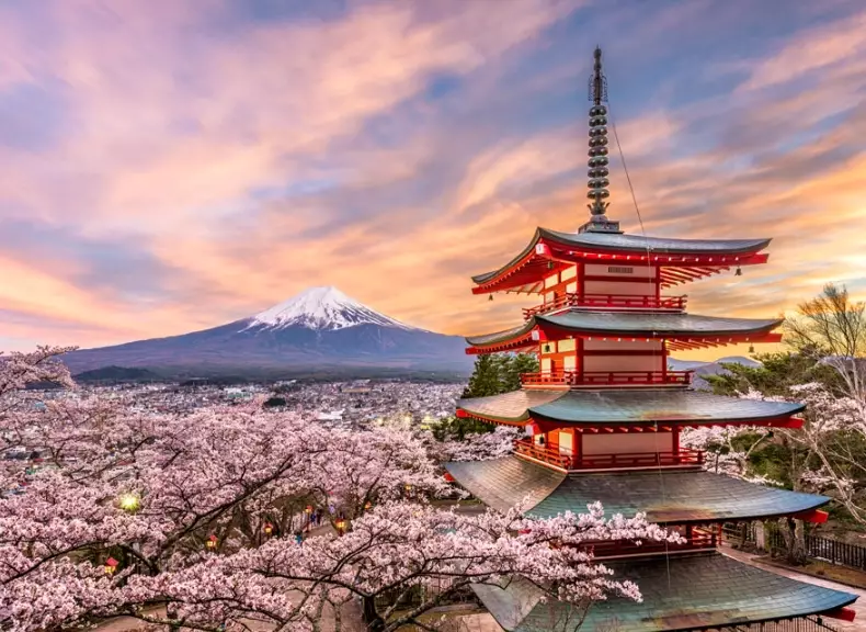 best time to visit Japan for cherry blossoms best time to visit Japan for cherry blossoms
