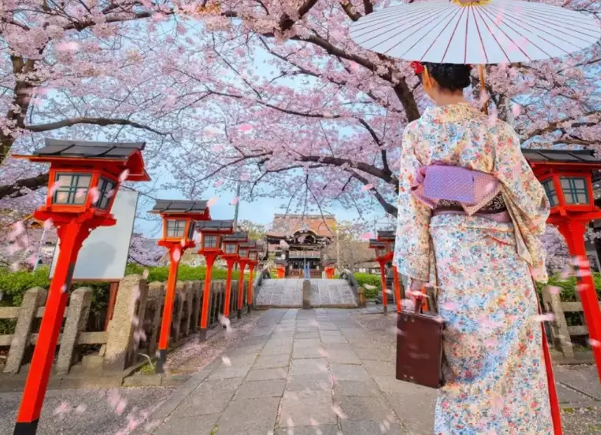 hanami season Japan hanami season Japan