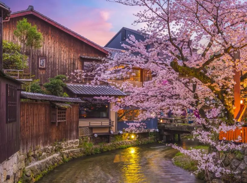 Japan solo travel guide