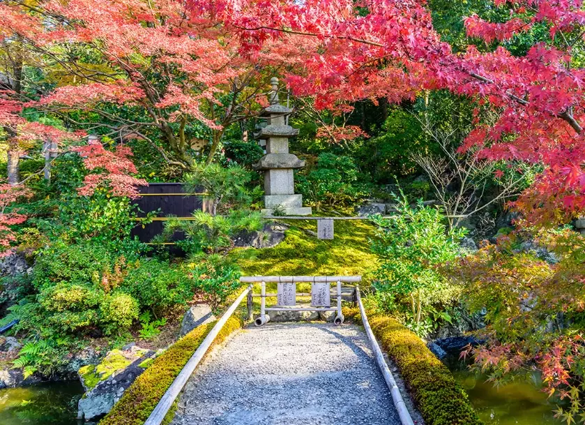 Japan solo travel guide