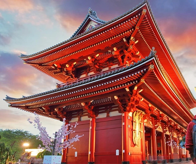 Japan travel for solo travelers Japan travel for solo travelers