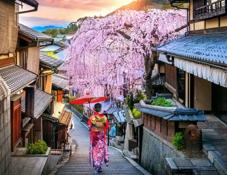 Japan solo female travel Japan solo female travel