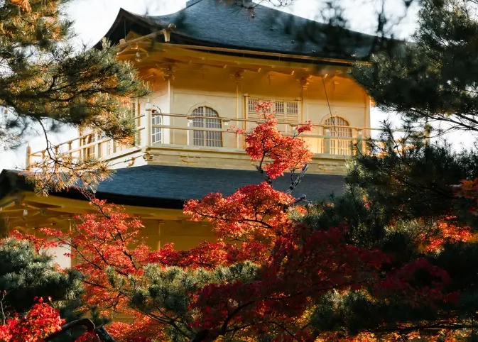 family trip to Japan