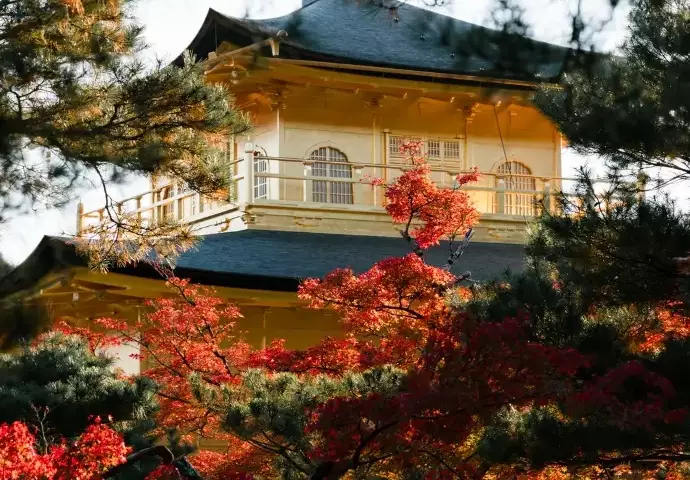 Japan travel with kids Japan travel with kids