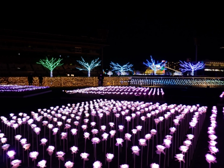Tokyo illumination festival worth it