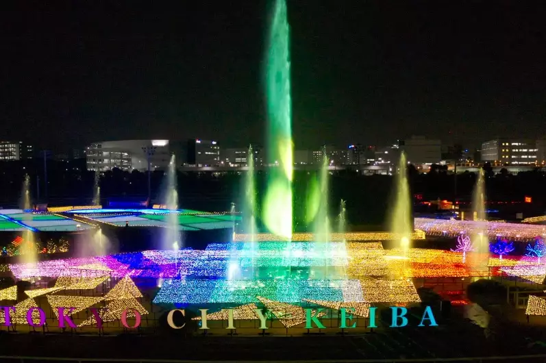 Tokyo Mega Illumination review