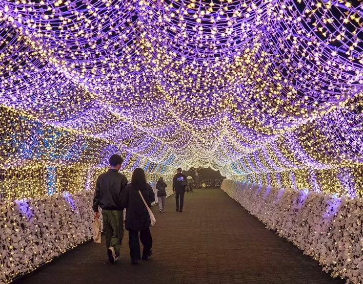 Tokyo Mega Illumination best time