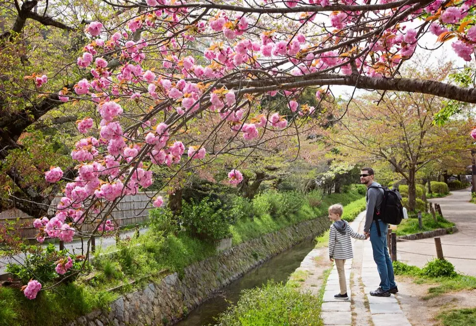 Japan family itinerary 10 days