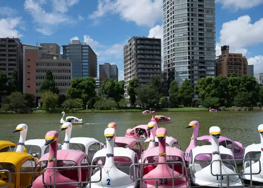 things to do in japan with kids things to do in japan with kids