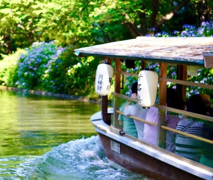 Kyoto cultural immersion