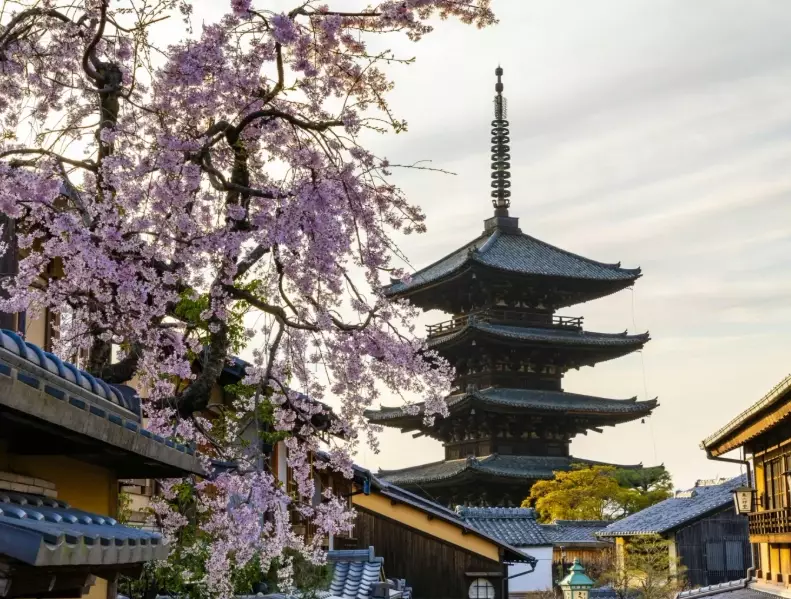 Japan digital nomad visa requirements