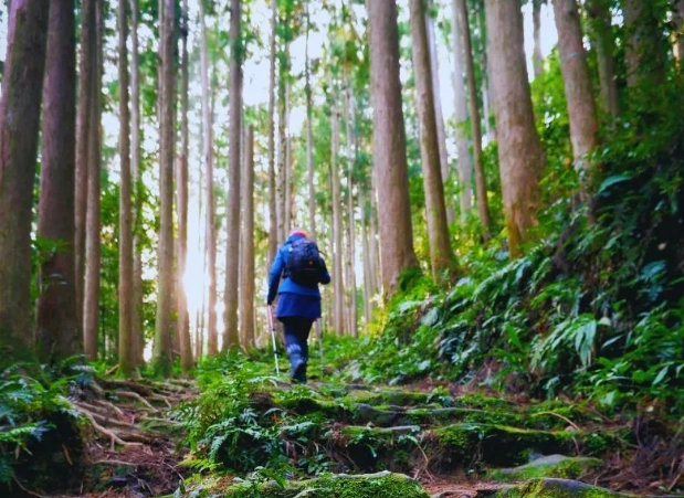 Japan cultural experience