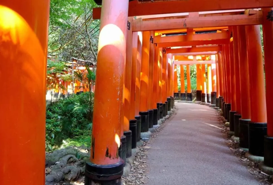 Japan travel in winter