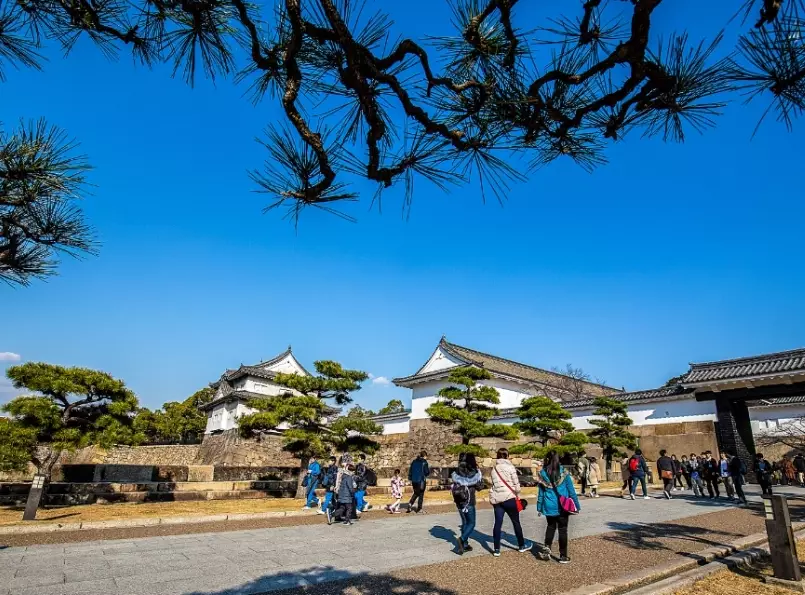 travel Japan without tour guide