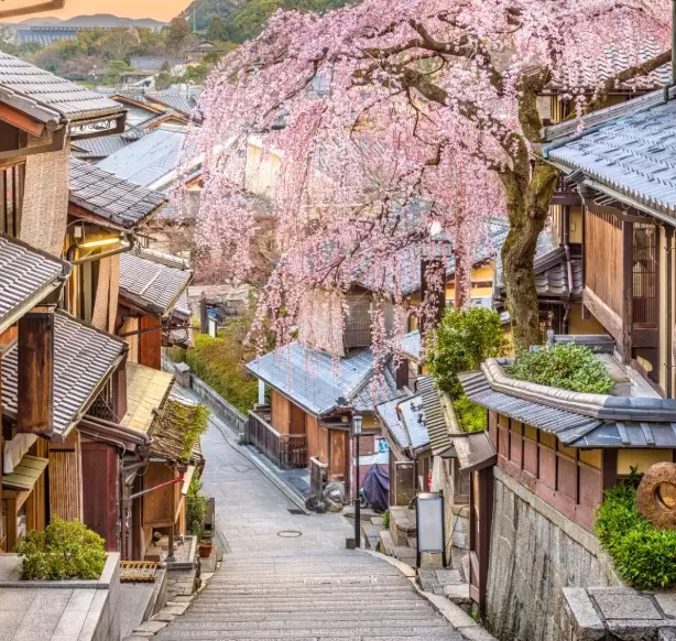 Japan 2 week itinerary