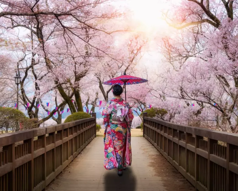 Top 15 Places to Visit in Japan: Ultimate Travel Guide