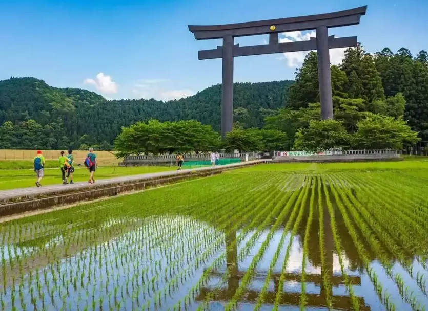 Is Japan a Good Place for Hiking? The Ultimate Trail Guide