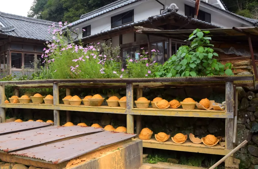 Japanese pottery tour price