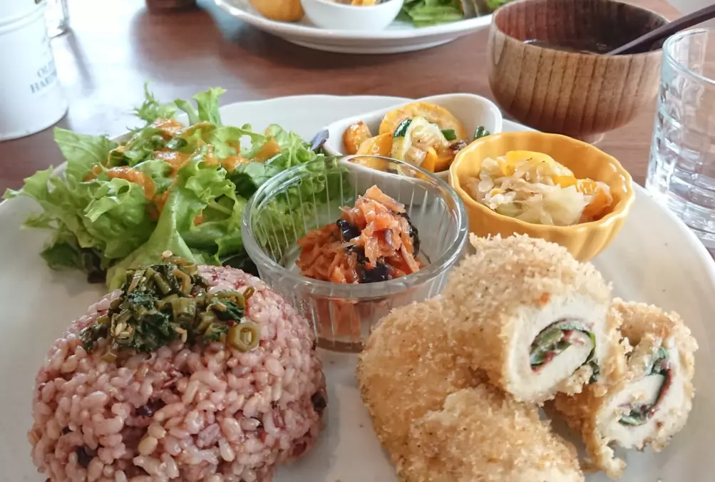 vegan restaurants Japan