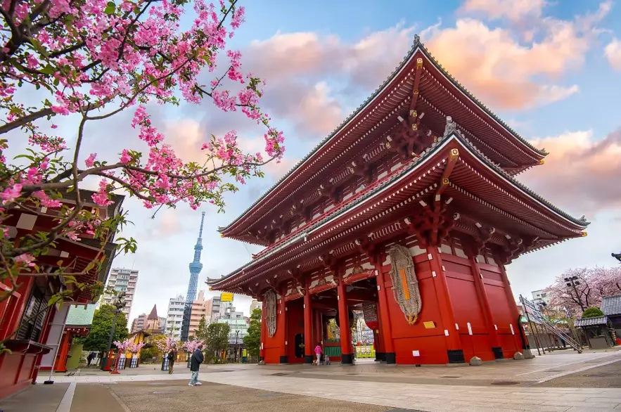 Tokyo travel guide