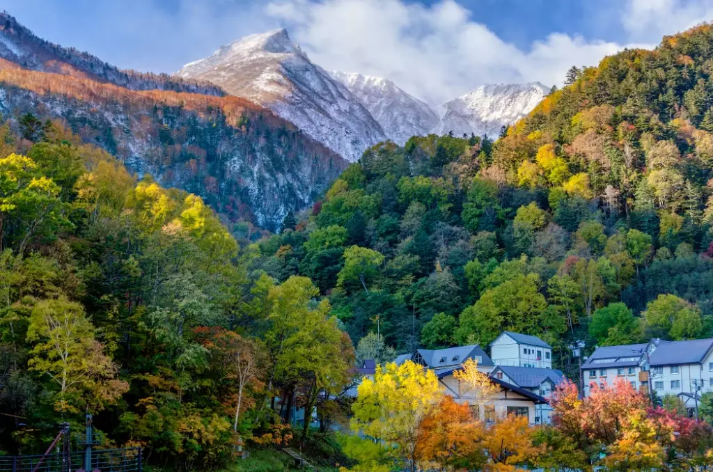 best Japanese gardens