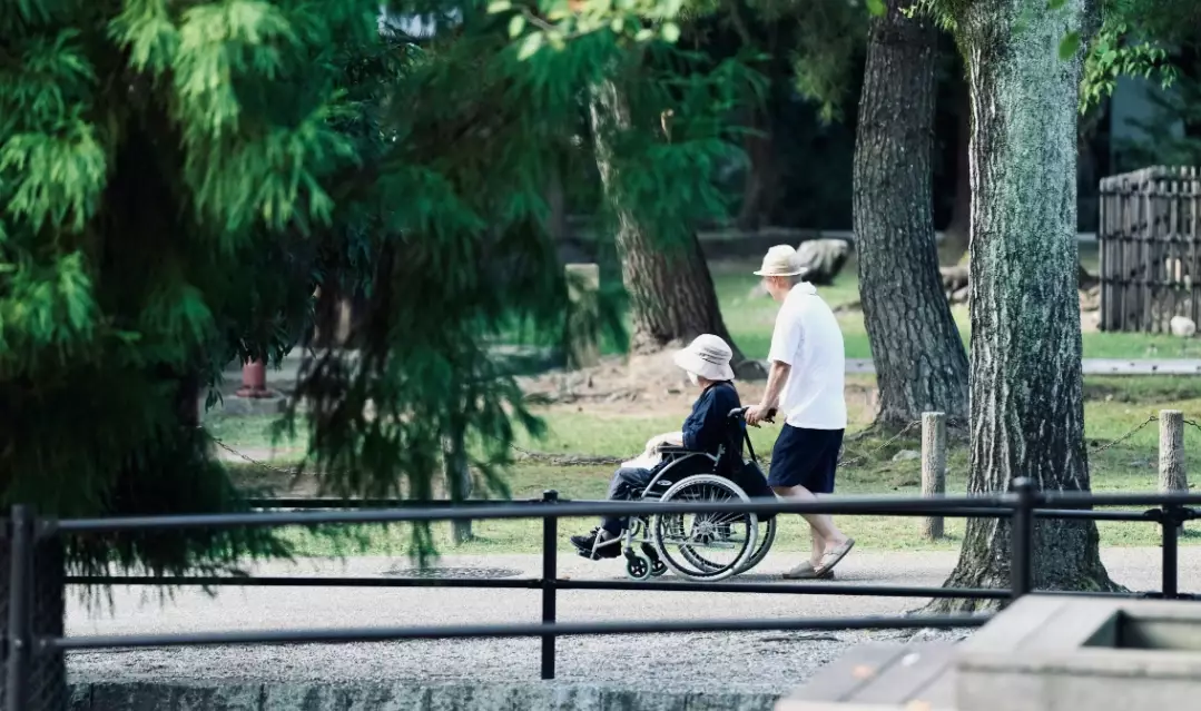 disability in Japan