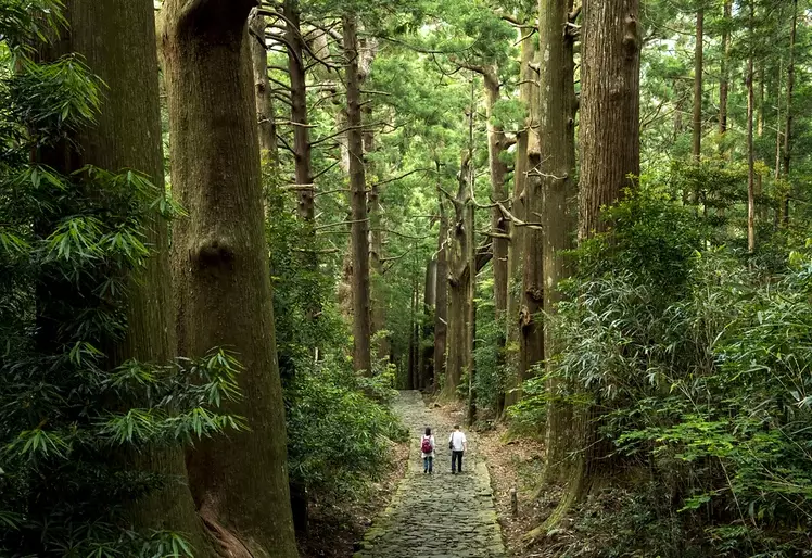 Kumano Kodo itinerary