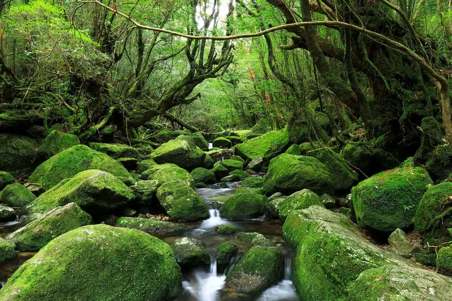 best national parks in Japan