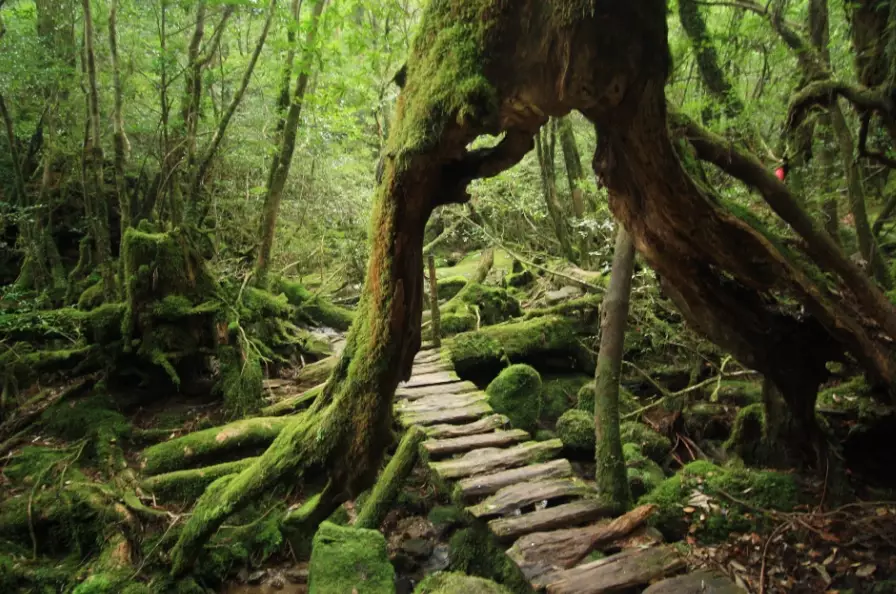 Shiretoko National Park