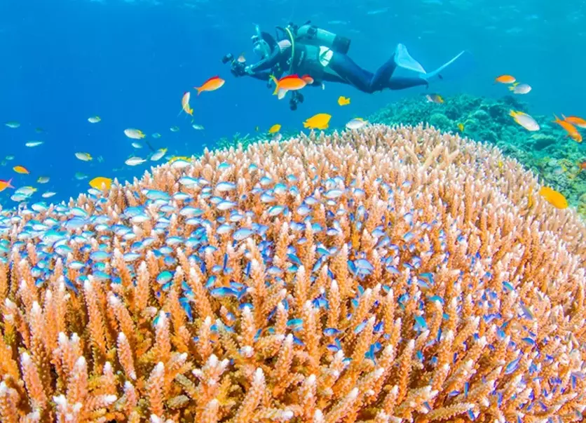 Japan diving spots