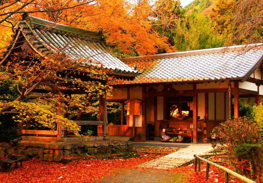 fall foliage Japan