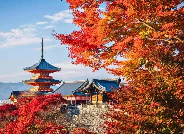 fall foliage Japan